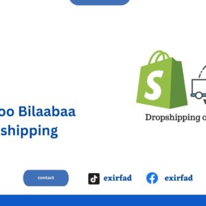 Sidee Loo Bilaabaa Dropshipping